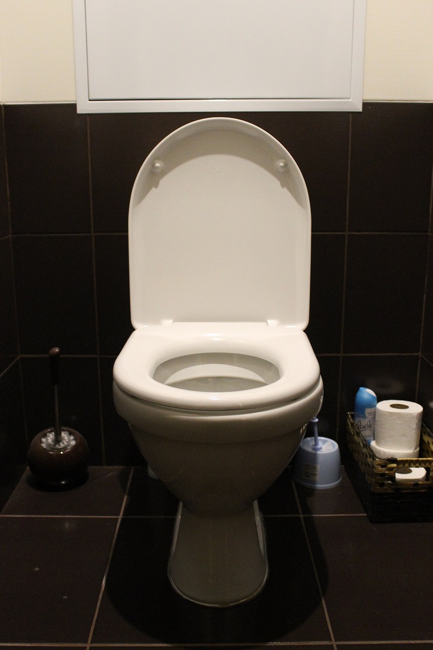 Installer un WC à poser : pas à pas
