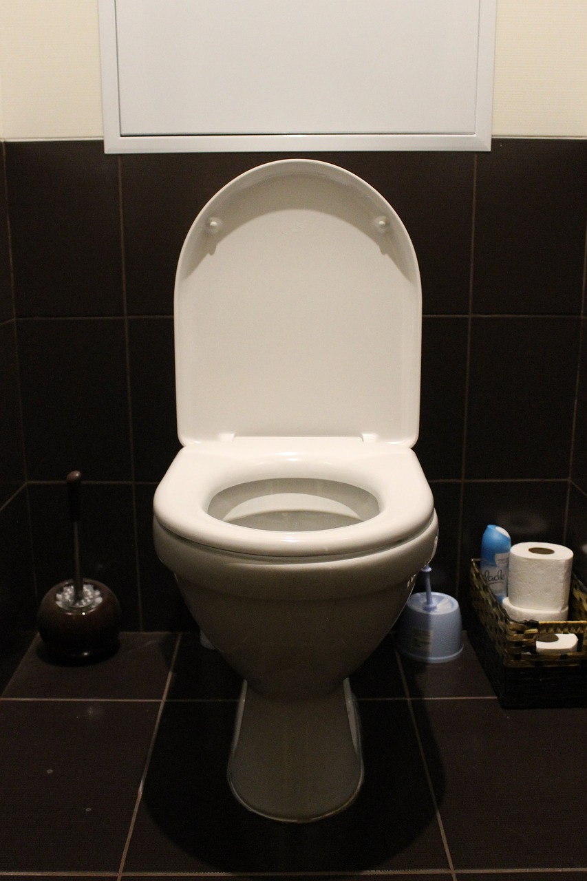 Le guide d'installation d'un WC à poser