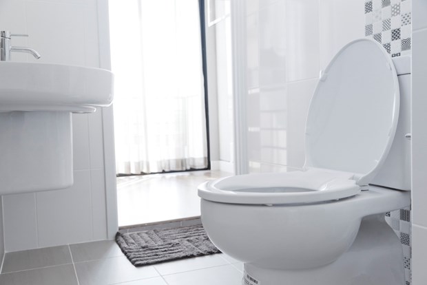 Comment éliminer les mauvaises odeurs des toilettes et libérer les  canalisations ?