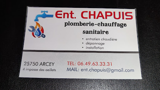 Ent.chapuis