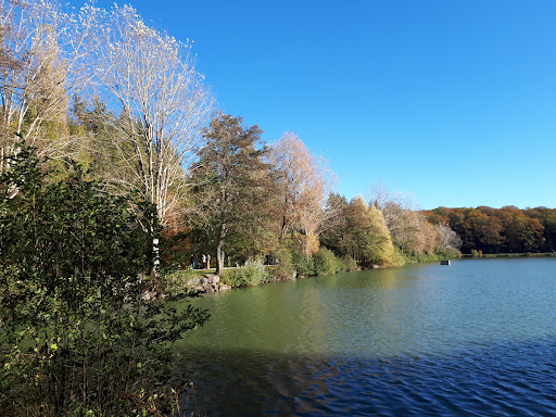 GROUPE MORLOT