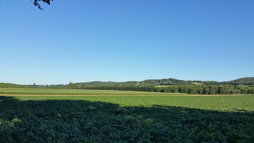 PGNF Plomberie Lyon