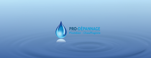 Pro Dépannage Sarl